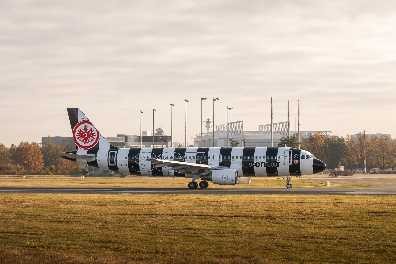 Passenger plane shown from the side in black-and-white striped special paintwork on an airport runway.